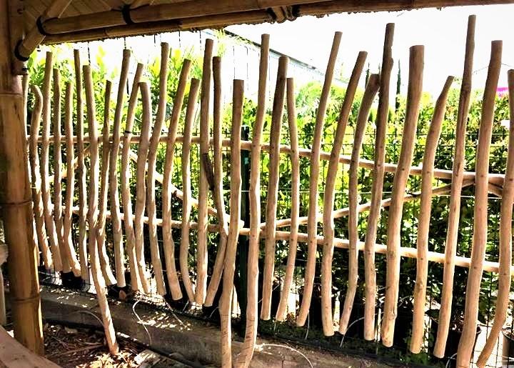 Palisade of teak branches