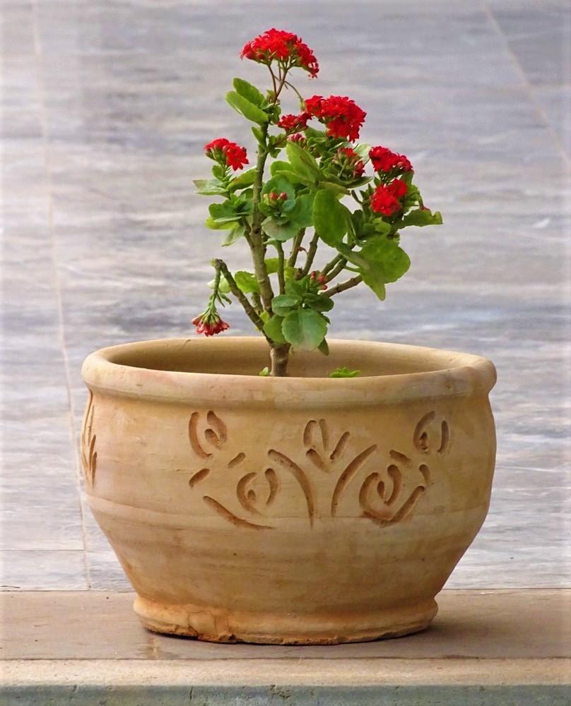 Terracotta vase Diameter 34 cm Height 22 cm 