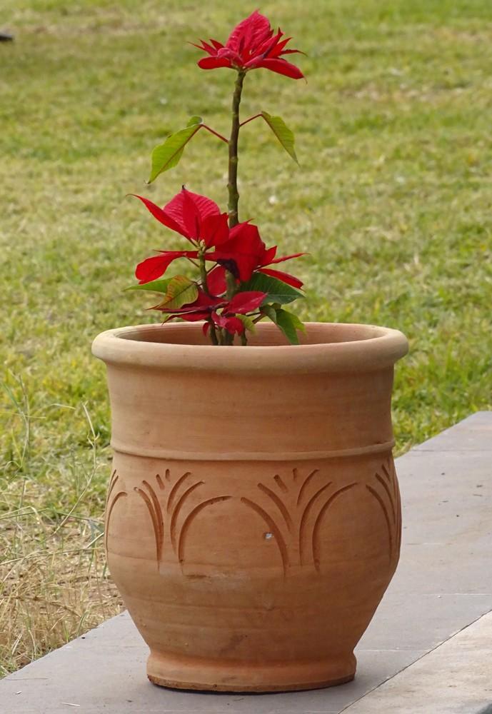 Terracotta vase Diameter 36 cm Height 40 cm 